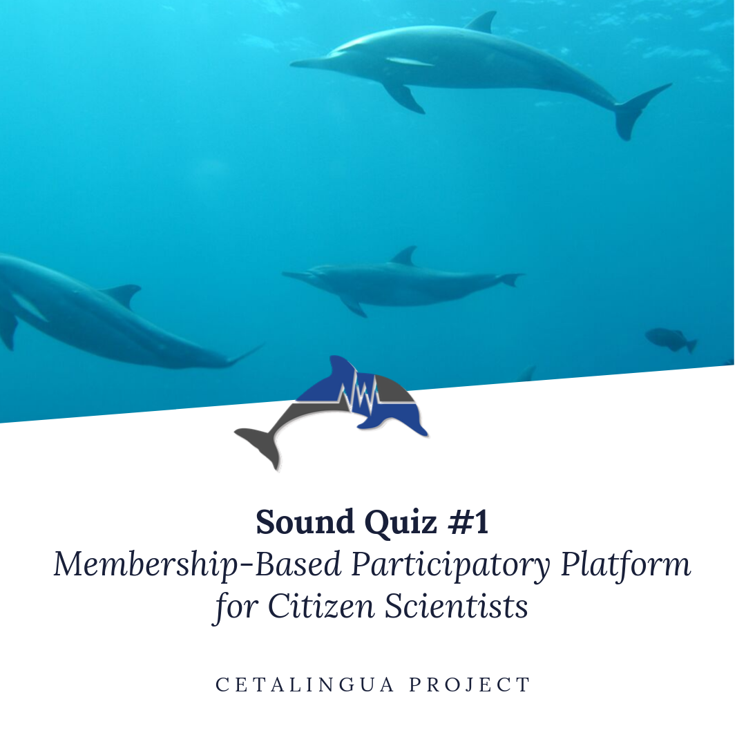 Sound Quiz | Cetalingua Project