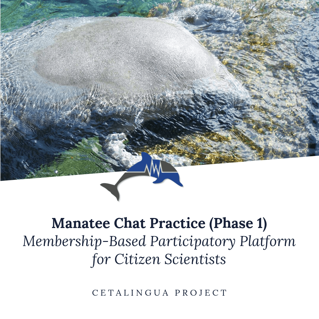 Manatee Chat Workflow 1 Practice | Cetalingua Project