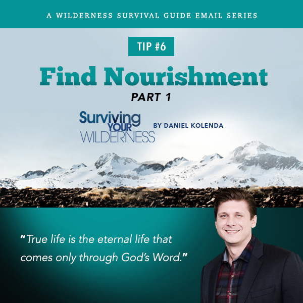 Surviving Your Wilderness