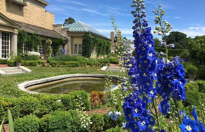Annual Plant Sale