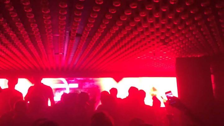 RED PARTY (Red Light Blackout)