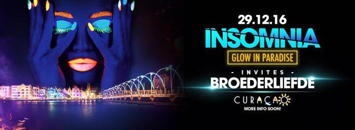 Insomnia "GLOW in Paradise"
