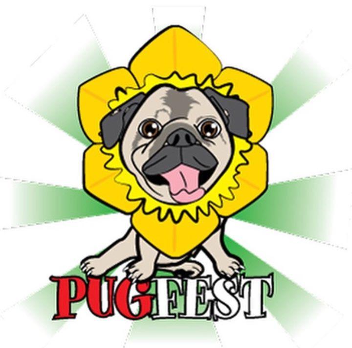 Pugfest St David's Day