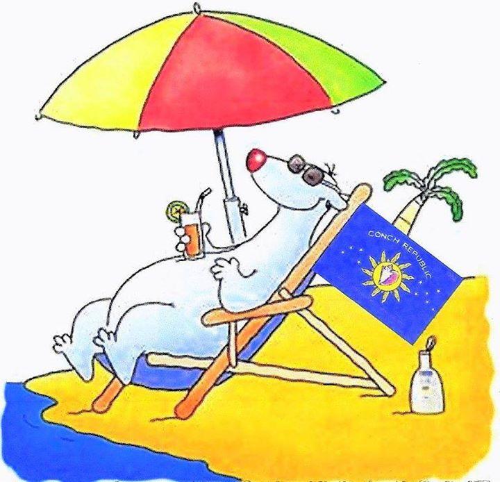 4th Annual Conch Republic Polar Bear Plunge