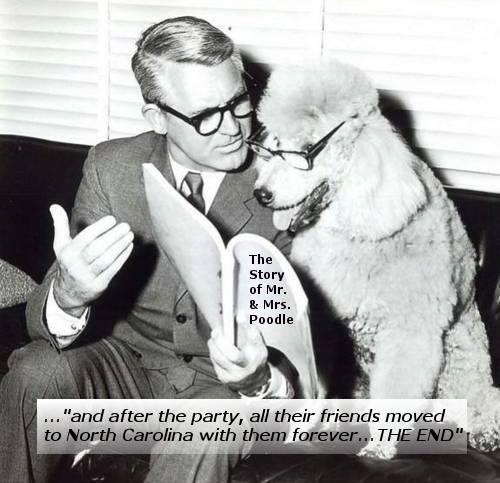 The Poodles Say, "See Ya Soon" !