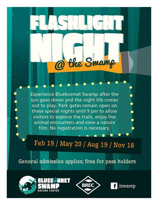 Flashlight Night at the Swamp