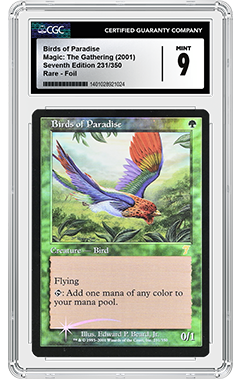 lorwyn mtg cards Amazon.com: Magic the Gathering: 10th Edition MTG Lorwyn Booster Pack (15  cards/pack) : Toys & Games