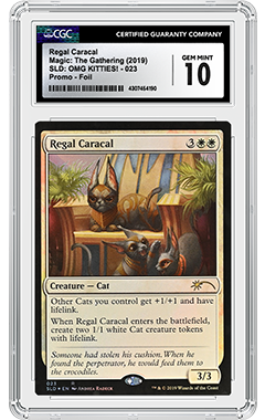 getting magic cards graded American Crafts Flower Child Cardstock Stickers w/ Silver Holographic Foil