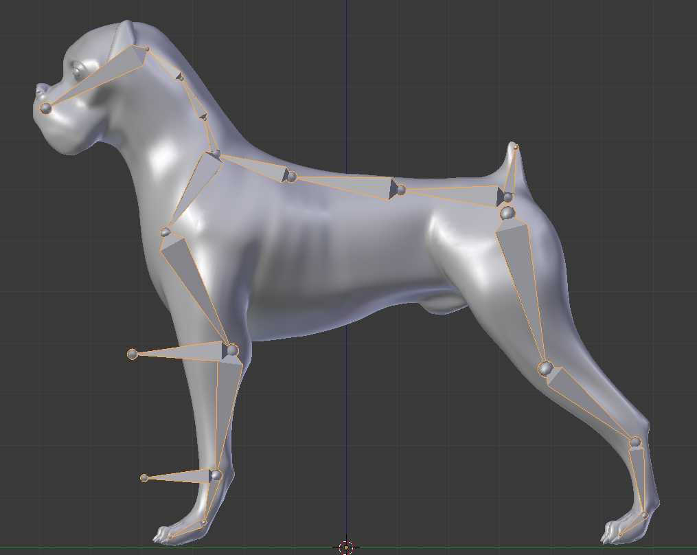 XRay Armature View CG Cookie