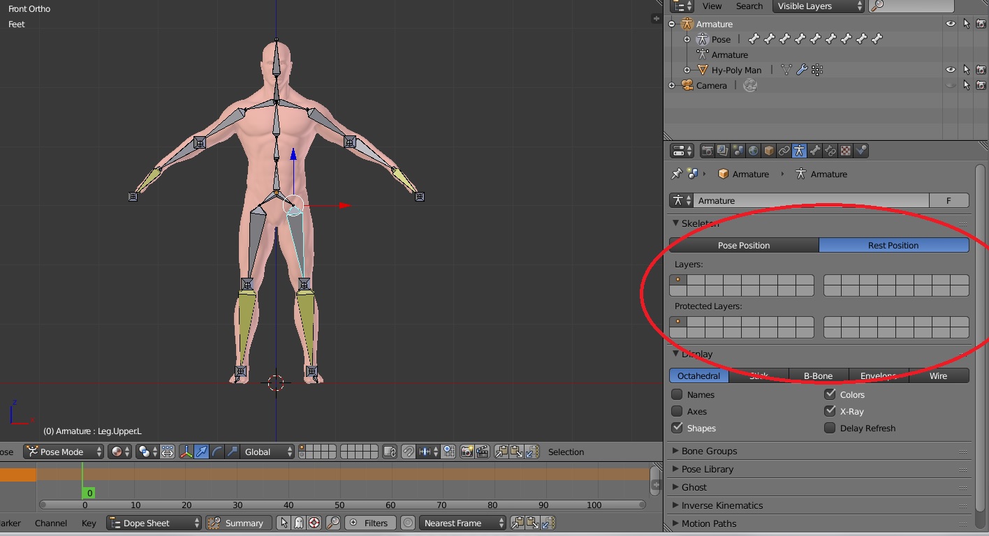 Check Pose Rig Using the Rig Pose/Rest position and protected areas - CG Cookie