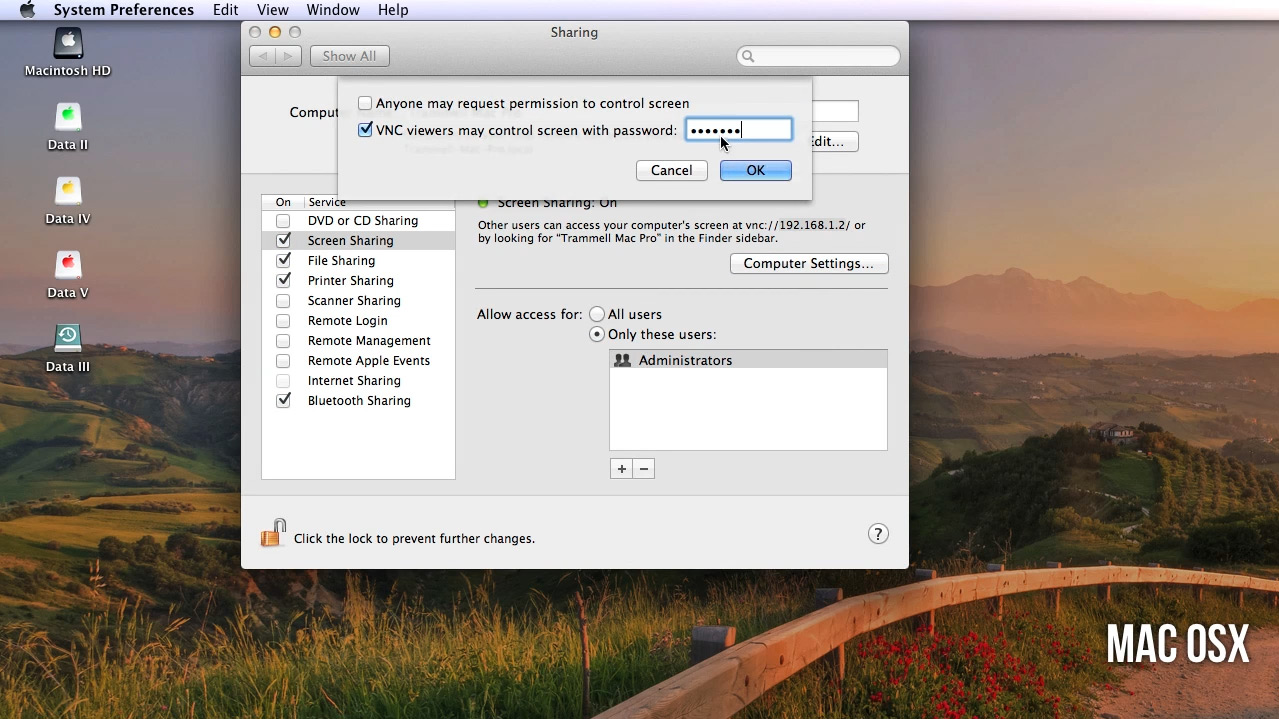 render extension on the x server vnc render extension on the x server vnc