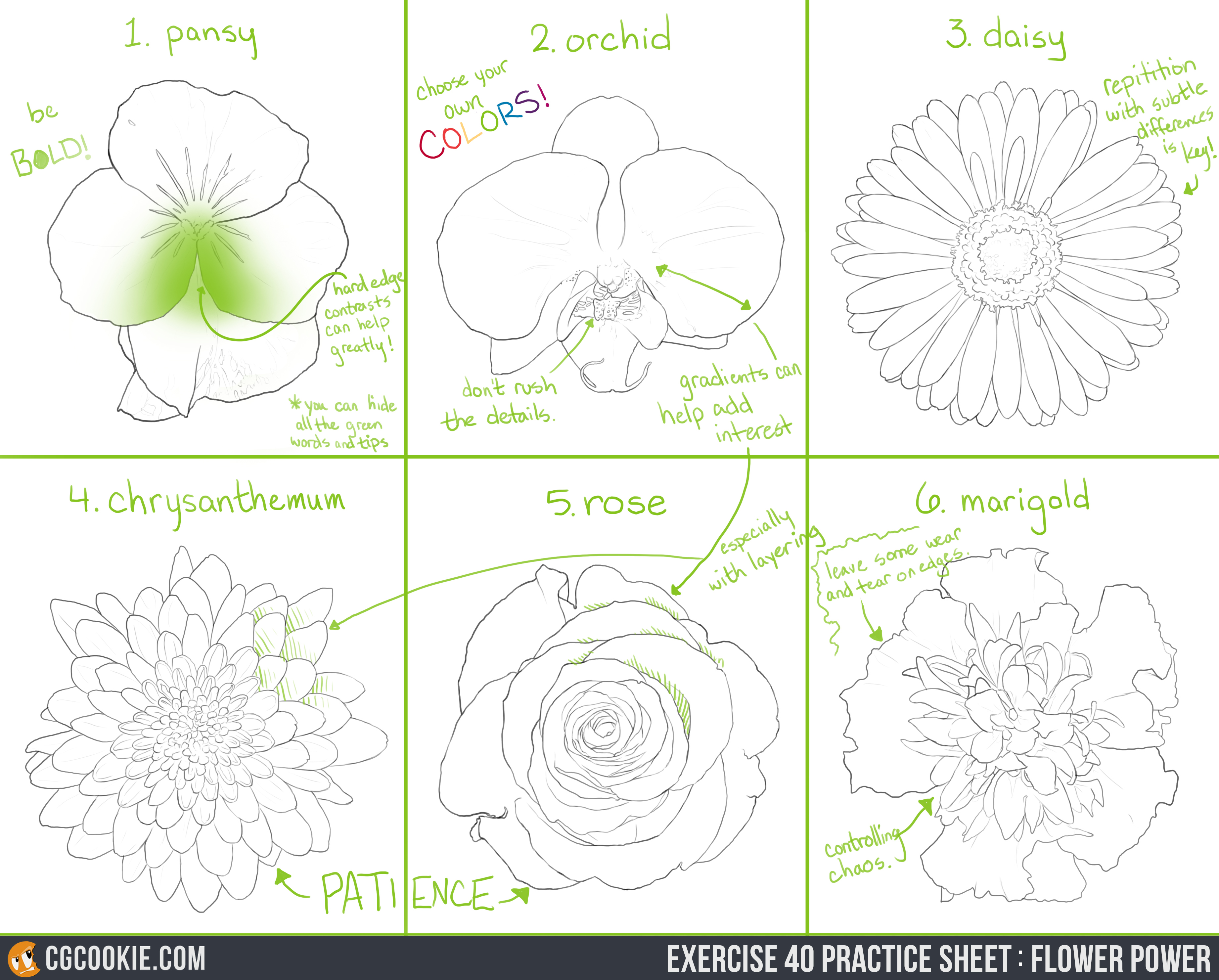 E40_PracticeSheet