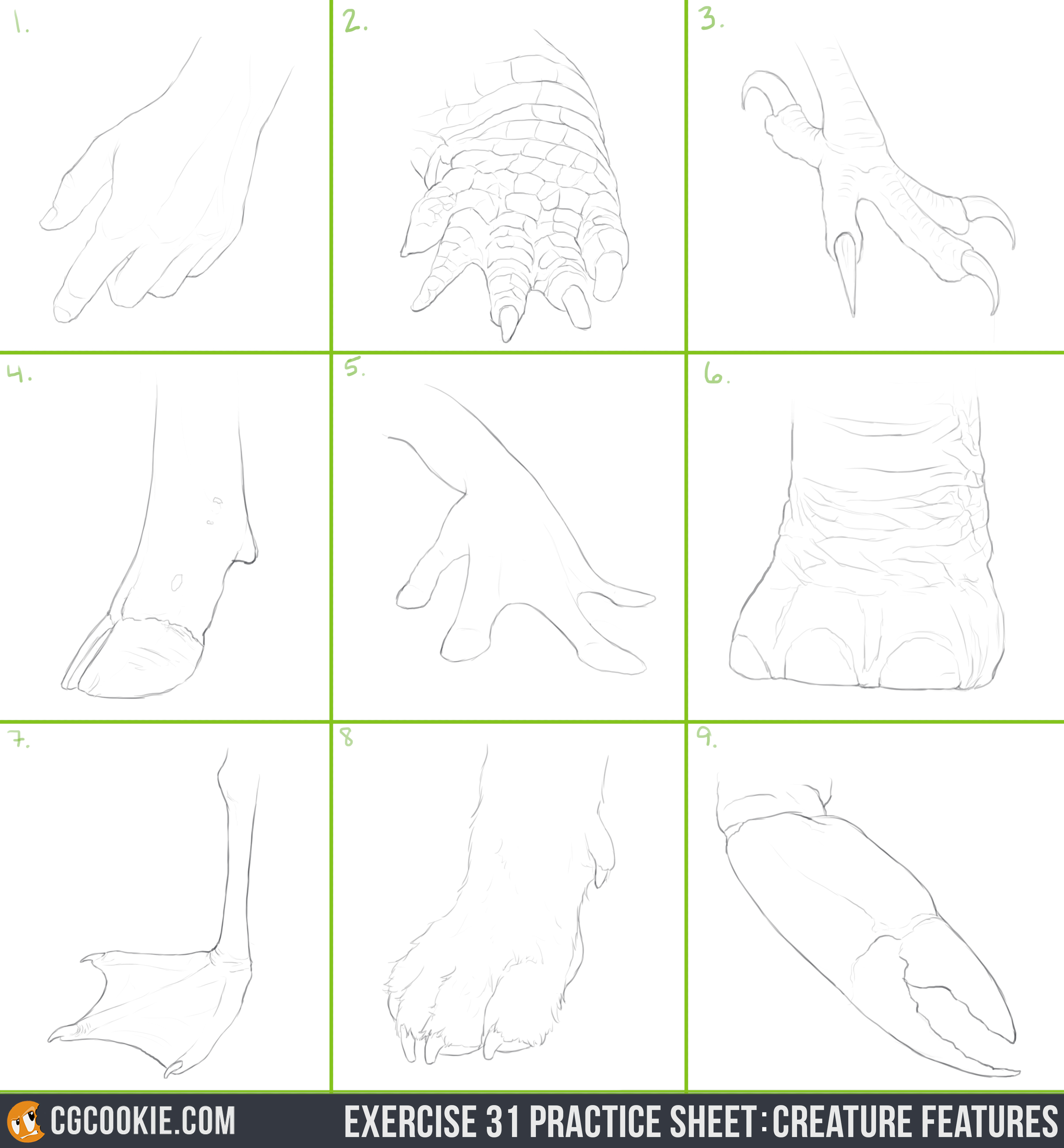Exercise_31_PracticeSheet