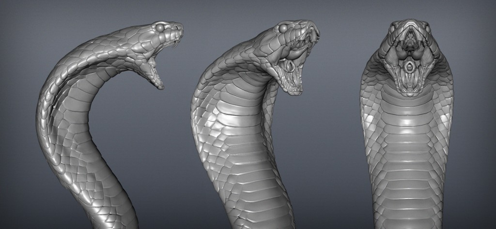 cobra_wip-1024x474