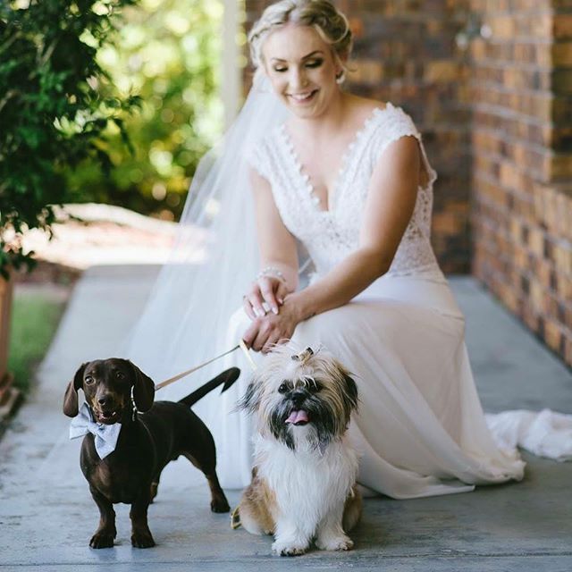 A smiling bride poses with her two dogs on her wedding day.
