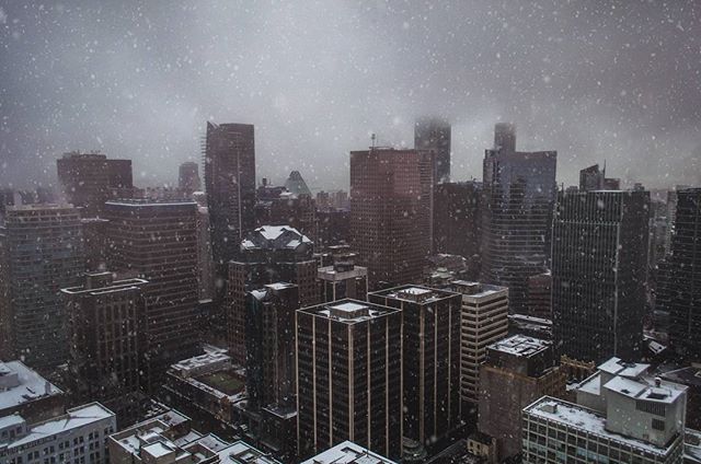 A cityscape view of buildings in the city during a snow storm creating a calm and quiet winter scene.