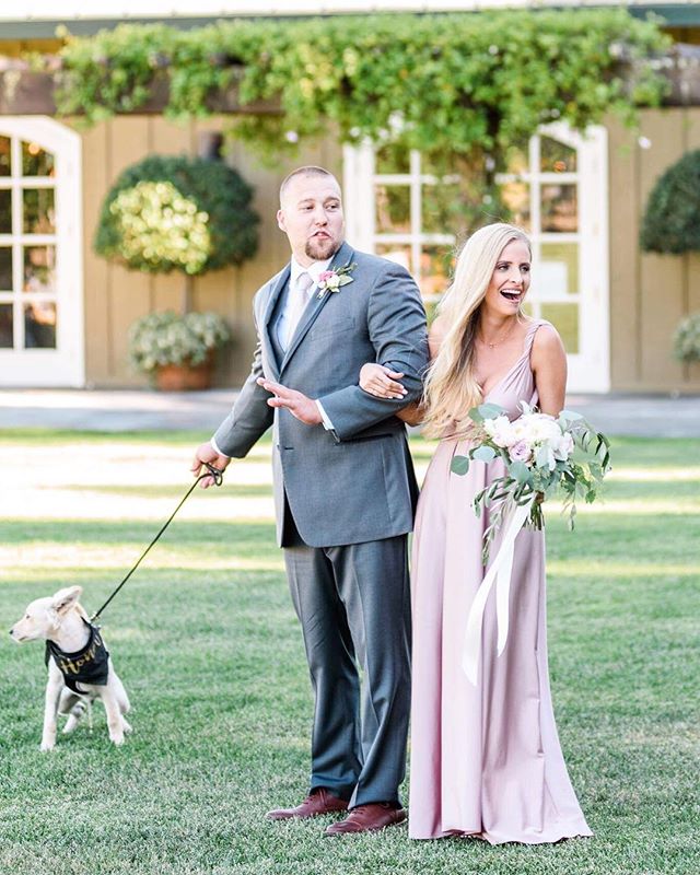 A couple and their dog walking on the grass for their wedding day.