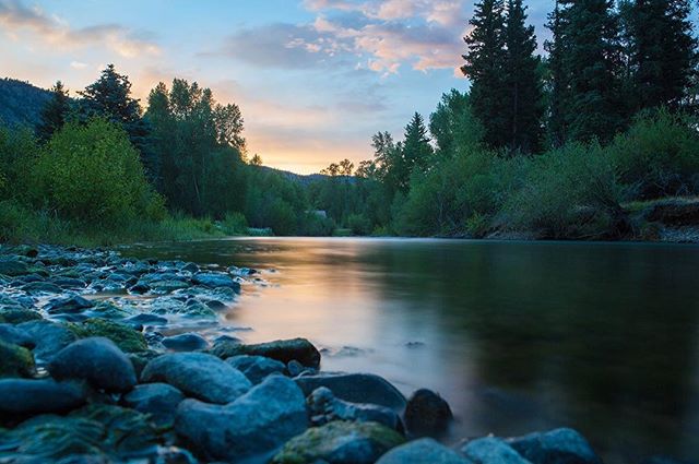 A tranquil river flows through a forest landscape with rocks along the bank, creating a serene natural scene.
