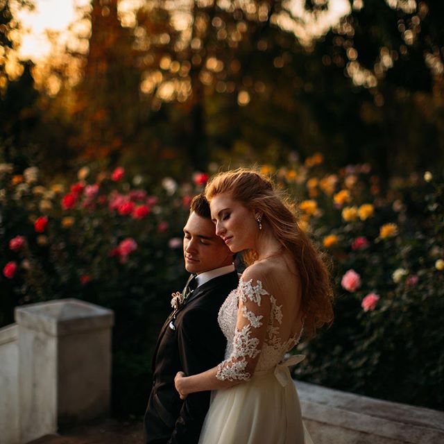 A bride and groom embrace surrounded by roses in a garden during their wedding.