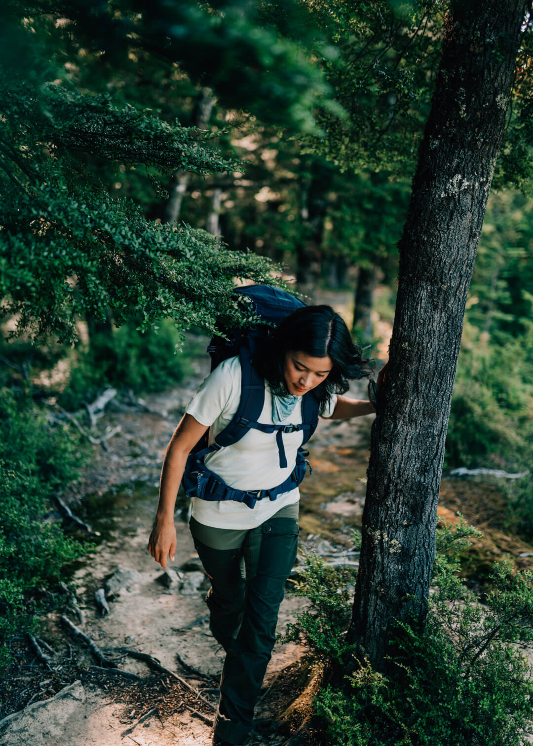 A woman with a backpack hikes up a wooded trail, surrounded by trees and greenery.