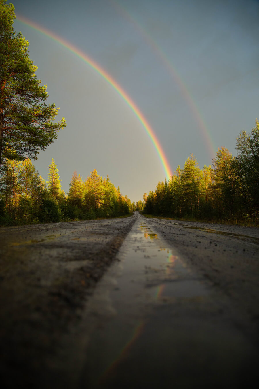 A road cuts through a forest after a rain, with a vibrant double rainbow bridging the landscape.