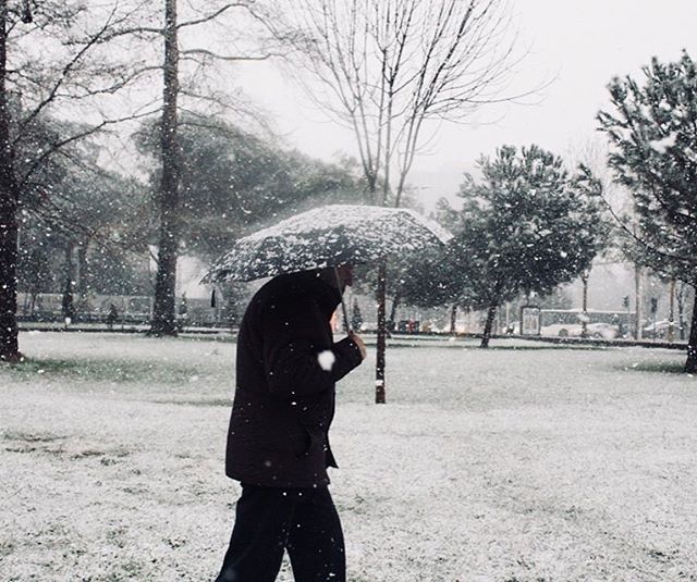 A person walks with an umbrella in a snow-covered park, surrounded by trees, during a calm winter day.