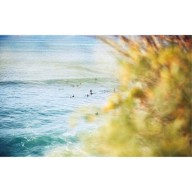 A serene coastal view of surfers enjoying the waves, captured with a calming and relaxing aesthetic.