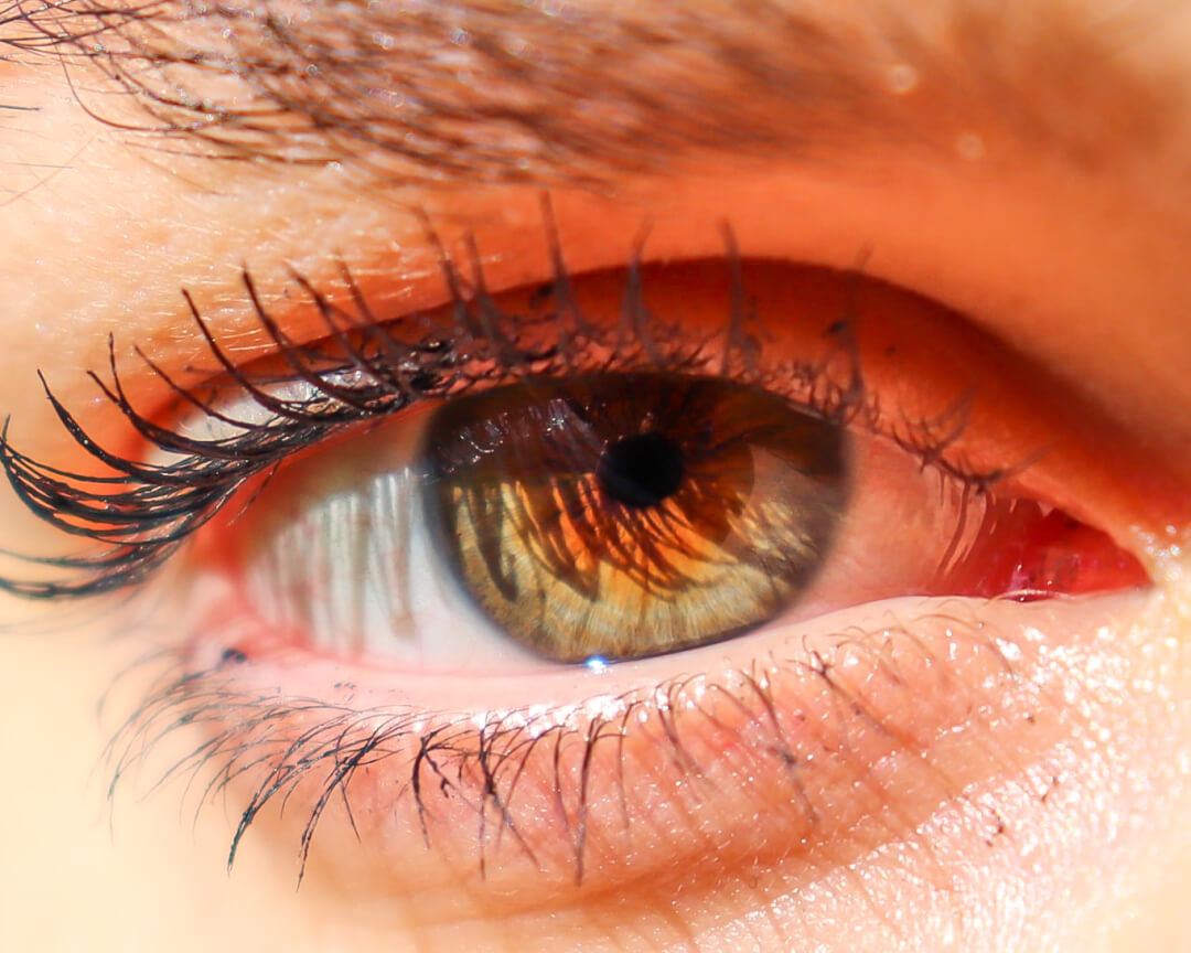 A detailed close-up of a hazel eye with lush lashes, showcasing the beauty of natural light.