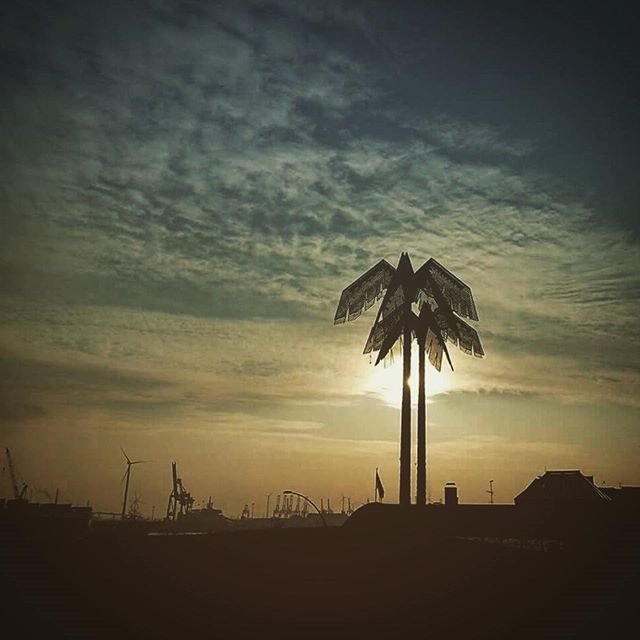 A silhouette of a palm tree against a sunset sky in an urban landscape, blending nature with city architecture.