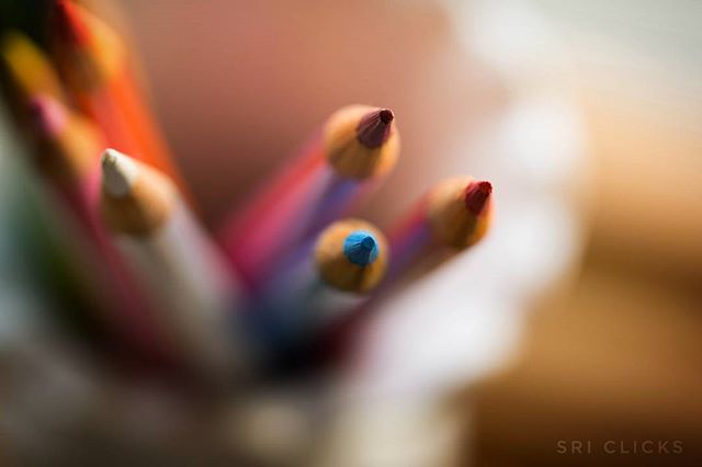 Macro shot of colorful pencils, ideal for art education and creative back to school campaign. 