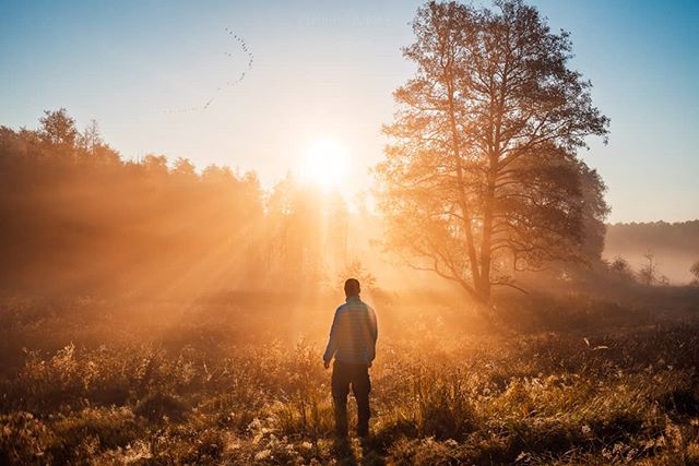 A man stands in a sunlit field, facing the sunrise, evoking peace and motivation in nature.