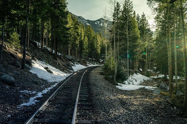 Scenic view of railroad tracks curving through a forest with snow-covered ground and mountains in the background.