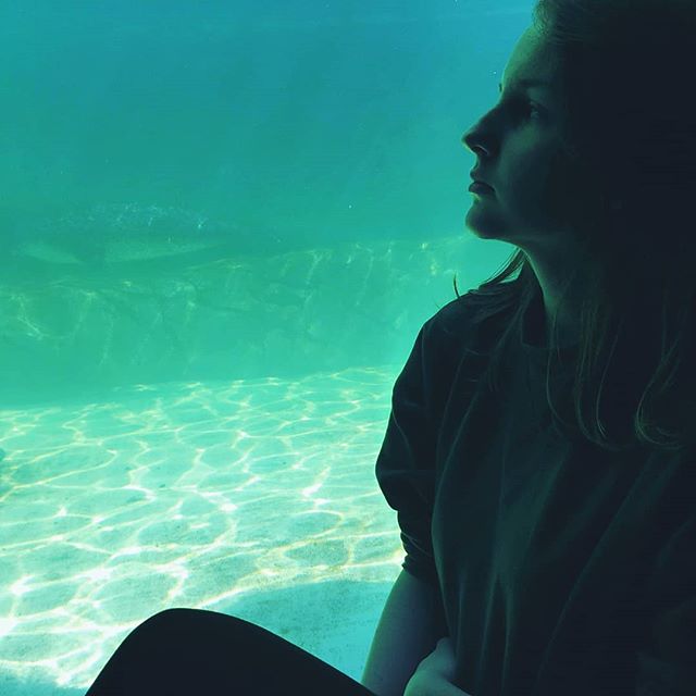 A woman contemplates the underwater world through the glass of a large aquarium.