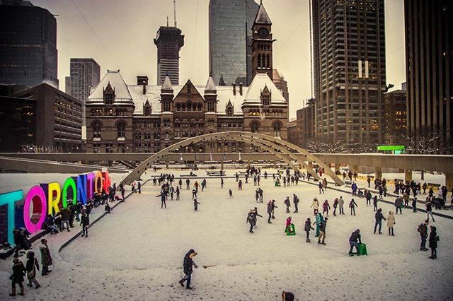 A lively scene in Toronto featuring people ice skating at Nathan Phillips Square during winter, with the Toronto sign and City Hall in the background.