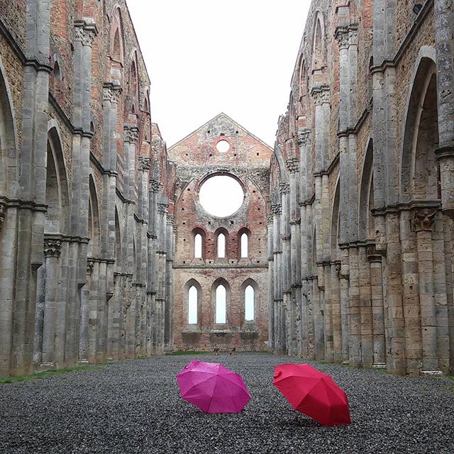 Two umbrellas sit inside the roofless San Galgano Abbey ruins in Tuscany, Italy, showcasing its historic architecture.