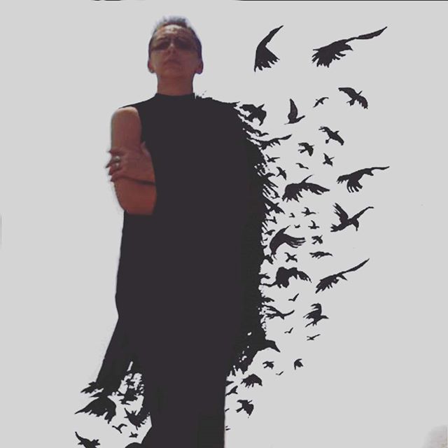 A woman with a flock of birds flying from her side against a white background, conceptual and surreal.