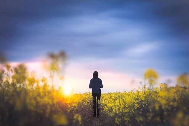 A woman walks through a field of flowers at sunset. Seeking peace.