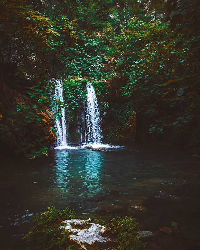 A tranquil waterfall flows into a pool surrounded by lush green foliage in a serene forest.