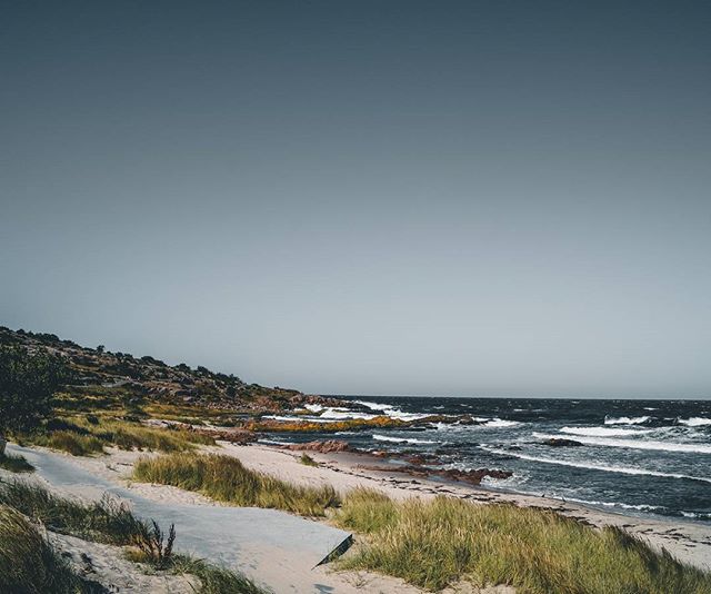 A serene coastal landscape featuring a sandy beach, gentle waves, and lush dune grass under a muted sky.