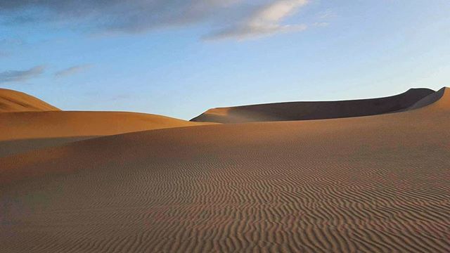 Serene desert landscape featuring undulating sand dunes under a clear blue sky, perfect for travel or nature photography projects.