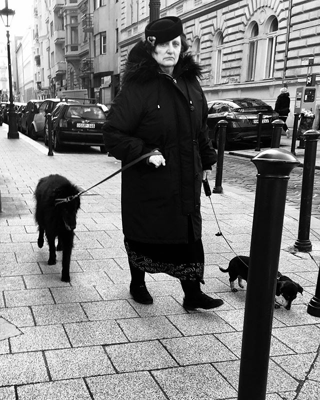 A woman walks her two dogs along a city sidewalk in a black and white street scene.