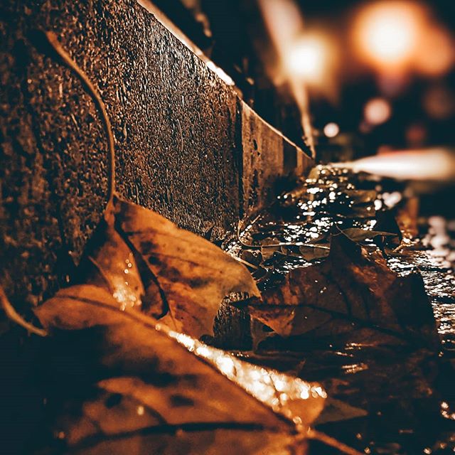 A wet street scene at night featuring autumn leaves and blurry lights, perfect for atmospheric urban content.
