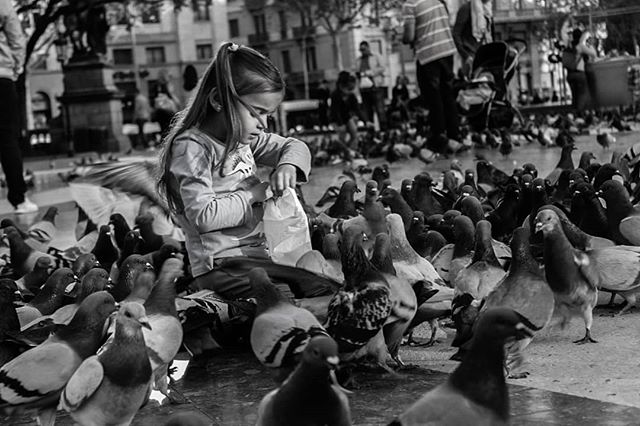 A young girl feeds pigeons in a city square, creating a serene urban scene.