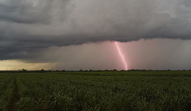 A dramatic lightning bolt strikes across a green field under a stormy, overcast sky.