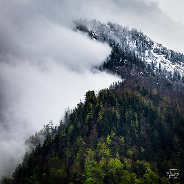 A mountain covered in trees with snow on the peak is shrouded in mist and clouds.