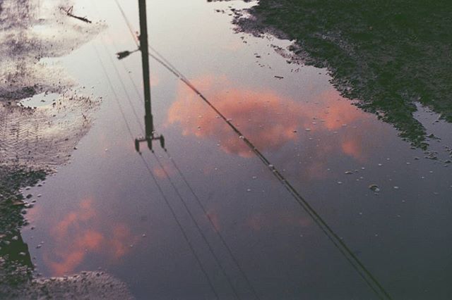 A puddle reflects a pink sky and power lines, creating an abstract urban scene.