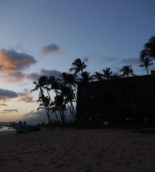 A beautiful sunset view on the beach with palm trees and people enjoying the serene dusk.