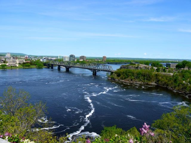 A scenic view of a city river with a bridge, buildings, and lush greenery on a sunny day.