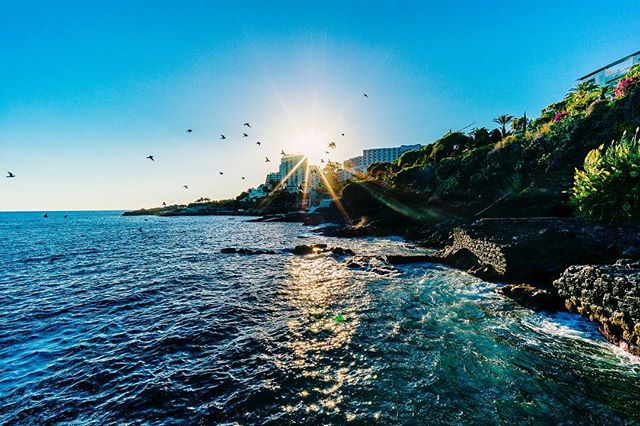 Sunlight shines over the ocean and coastline, creating a peaceful, scenic seascape with birds in flight.