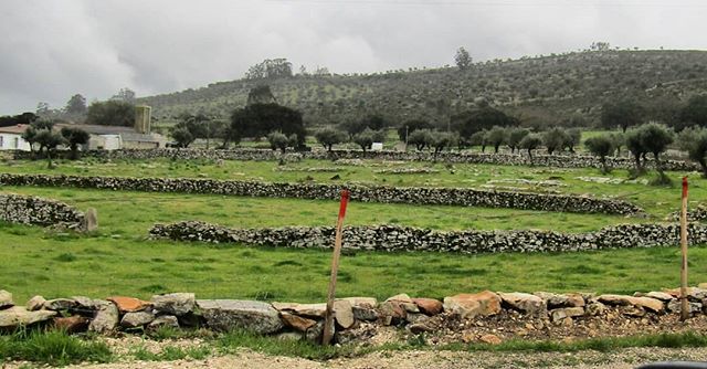 A rural landscape featuring stone walls, olive trees, and a house nestled in rolling hills on a cloudy day.